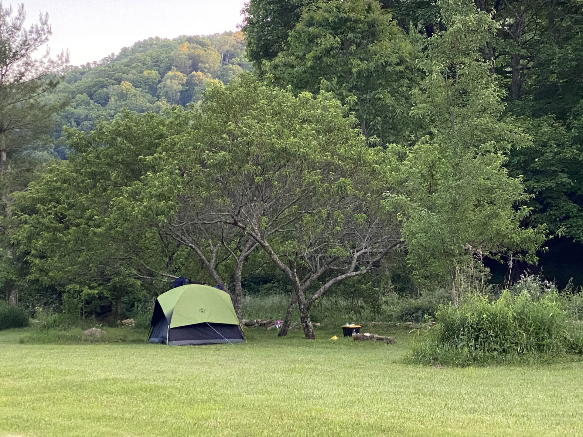 3 jours Ouvrir le cœur : une retraite sonore et nature pour femmes, Asheville, NC