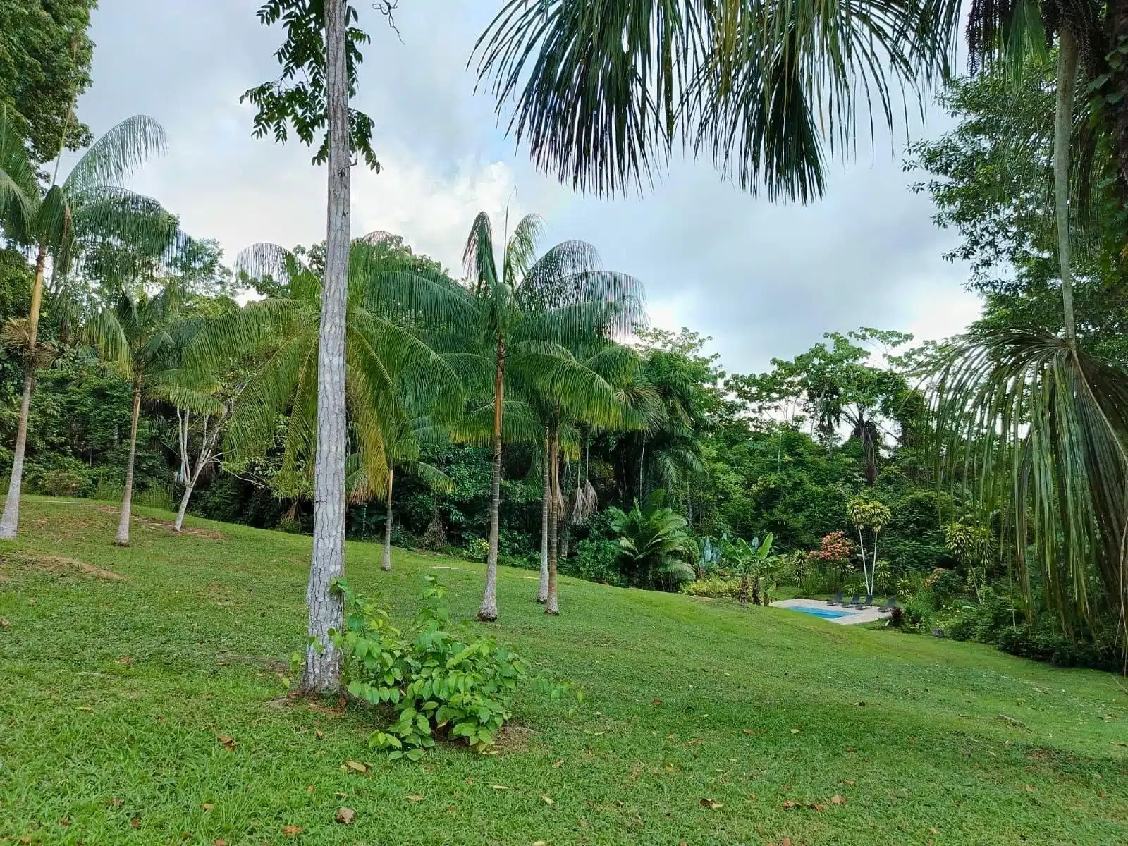 5 jours retraite ayahuasca et san pedro
