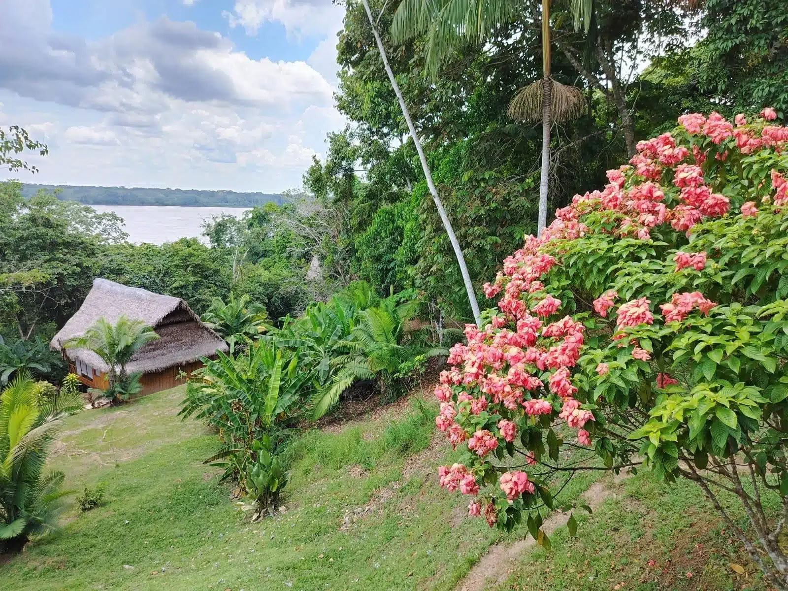 5 jours retraite ayahuasca et san pedro