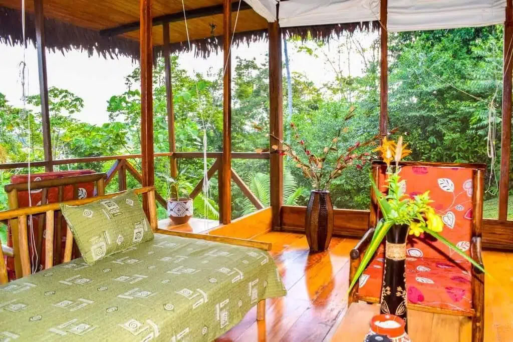 5 jours retraite ayahuasca et san pedro