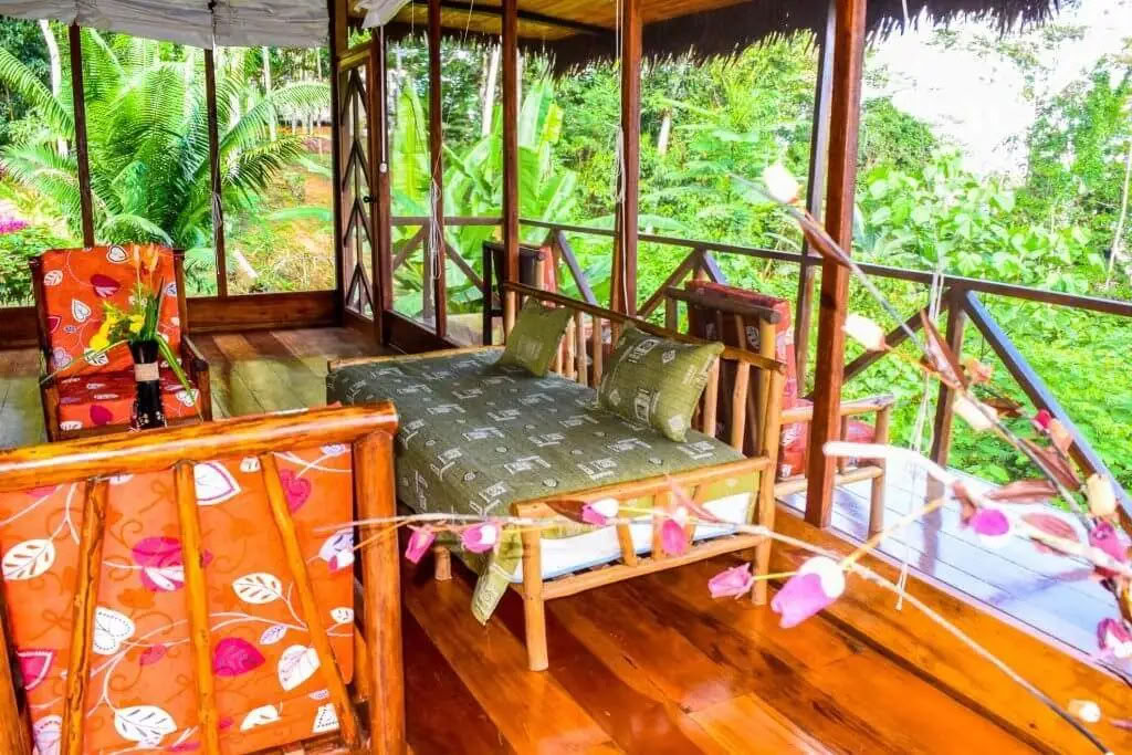 5 jours retraite ayahuasca et san pedro