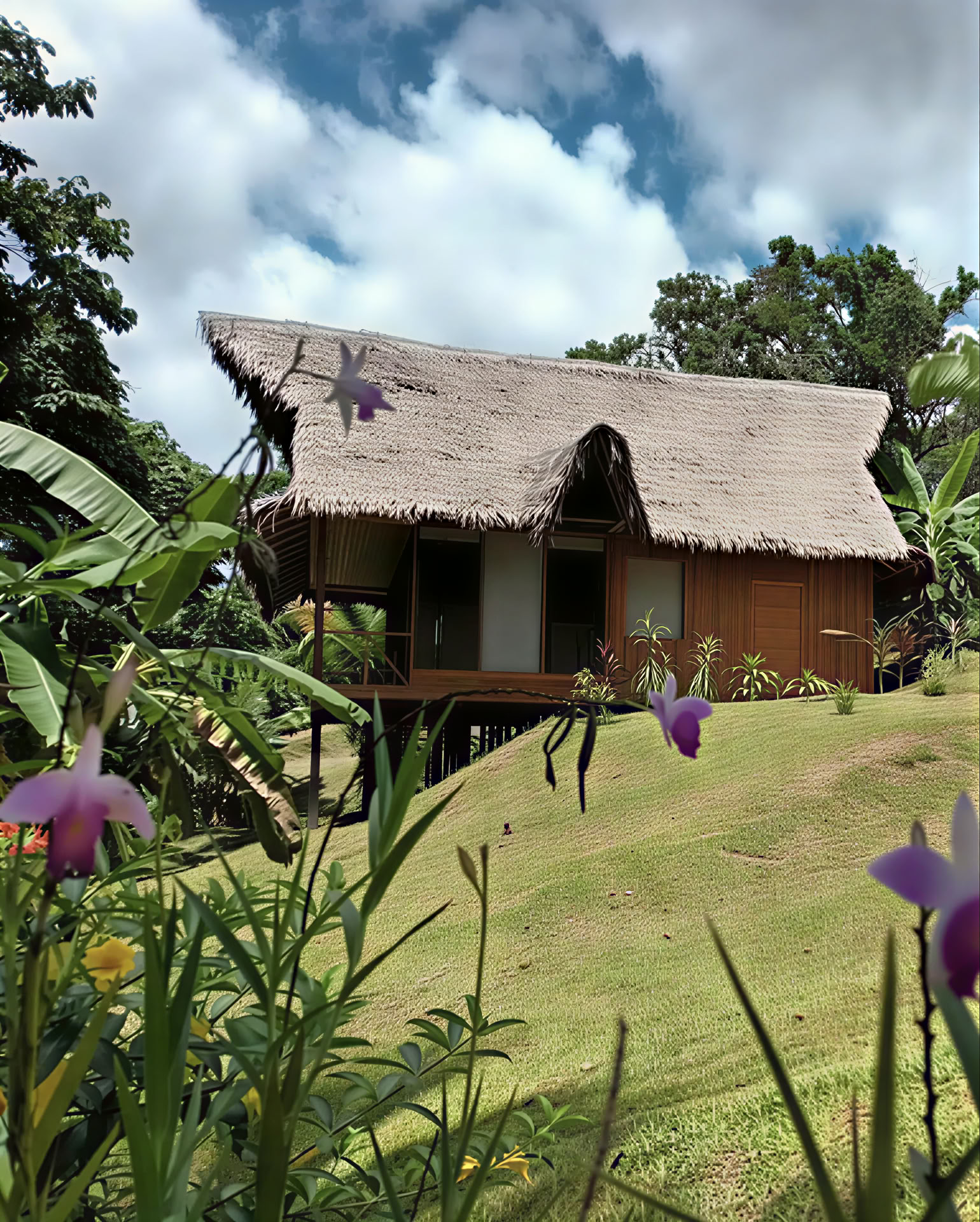 Retraite Ayahuasca & San Pedro de 8 jours – 26 mai - 2 juin