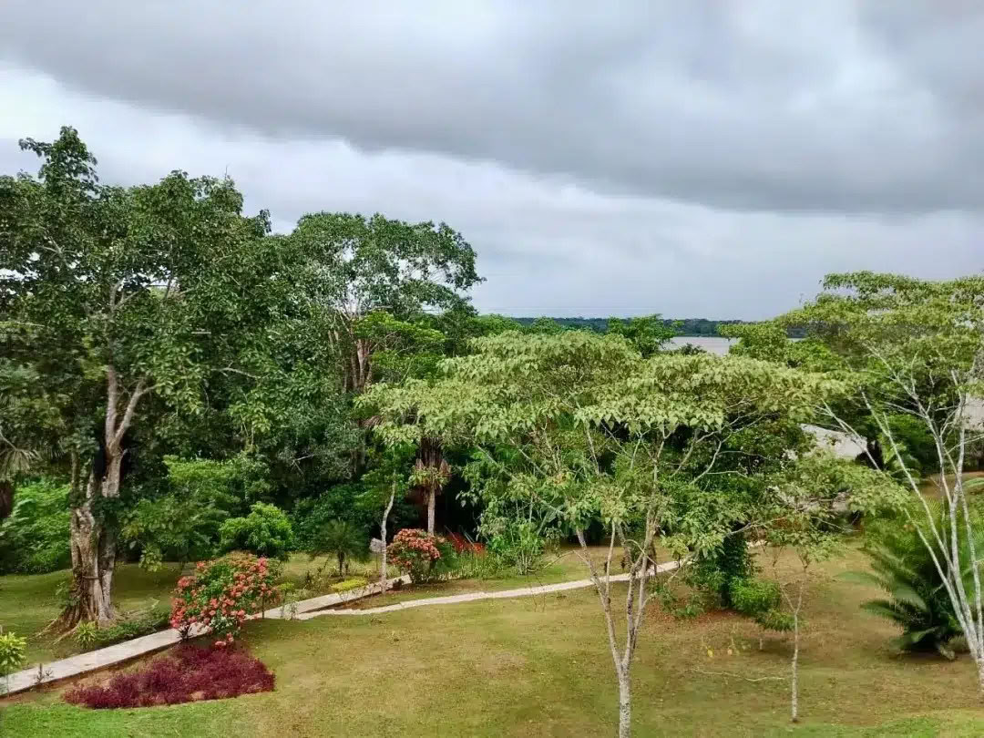Retraite Ayahuasca & San Pedro de 8 jours – 26 mai - 2 juin