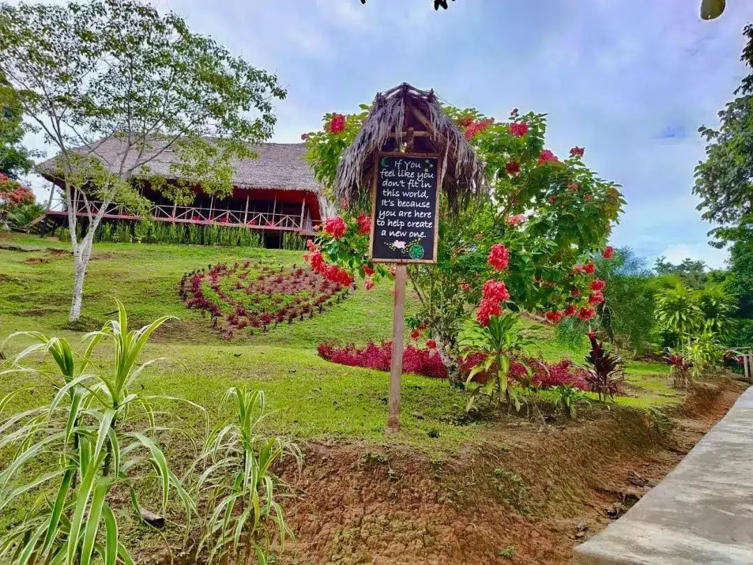 Retraite Ayahuasca & San Pedro de 8 jours – 26 mai - 2 juin