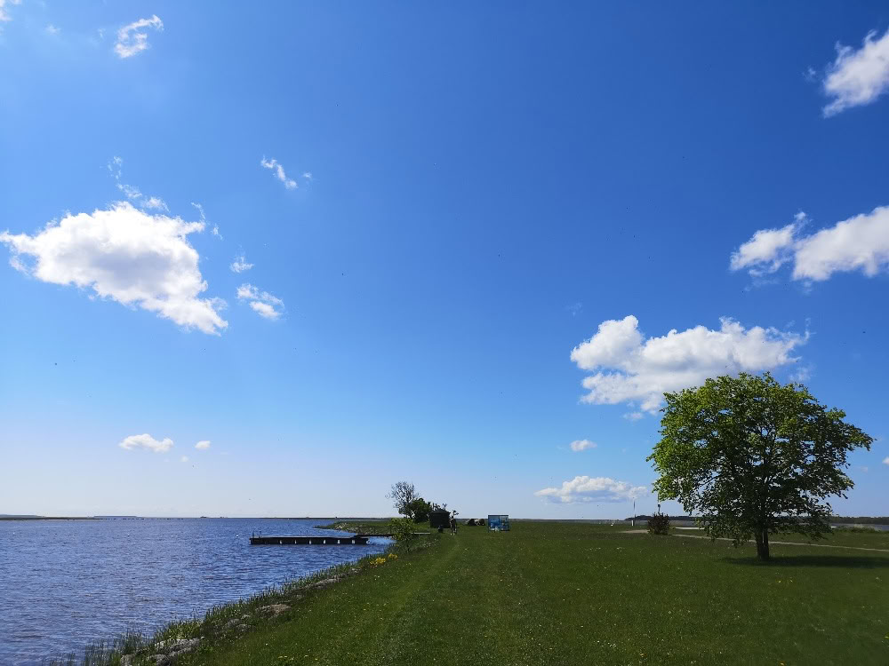 Retraite Nature Spirituelle Libération des Habitudes
