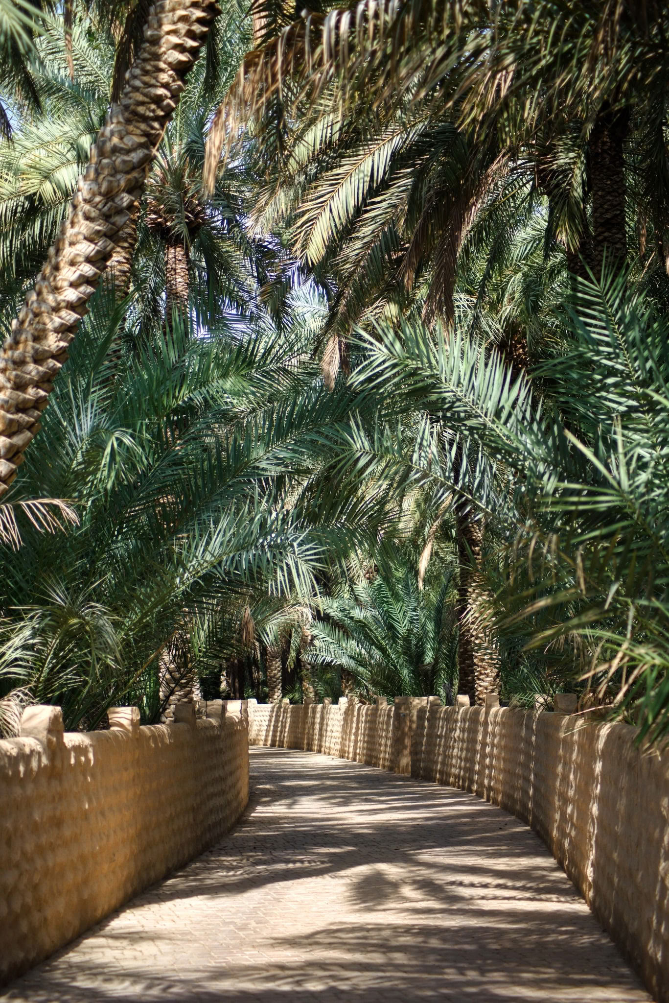 Découverte de soi céleste - Palm Springs
