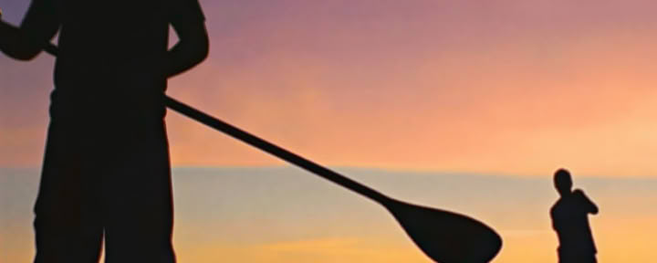 Paddle Board