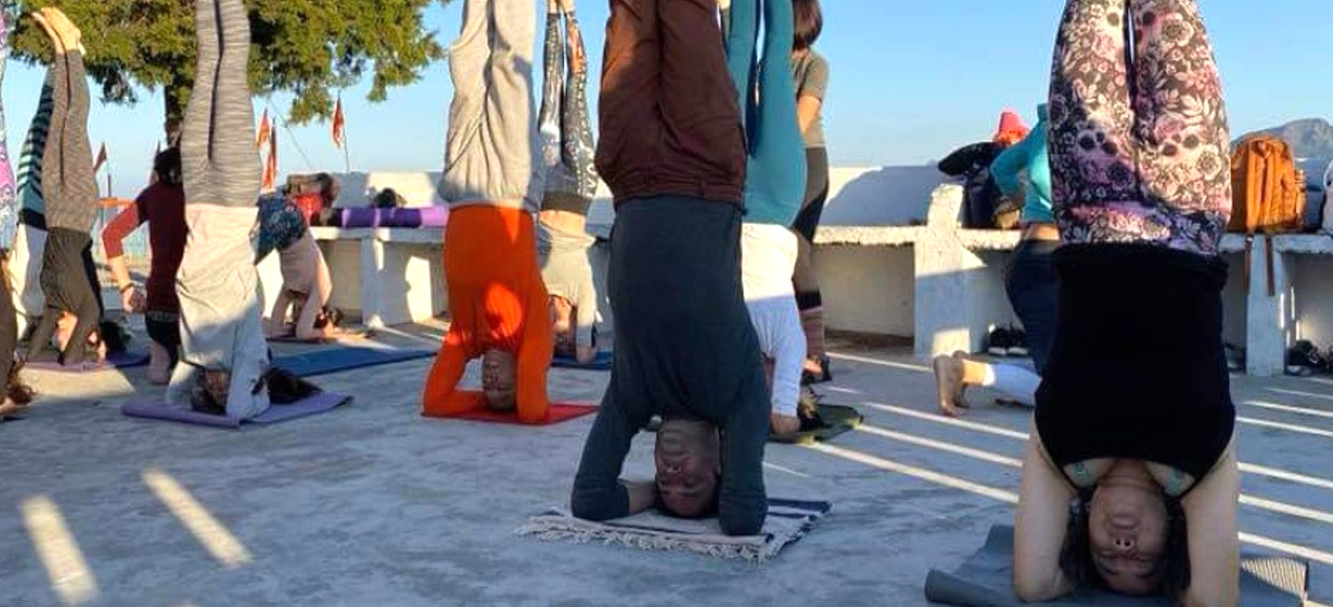 Yoga retraite Course by Om Yoga Rishikesh