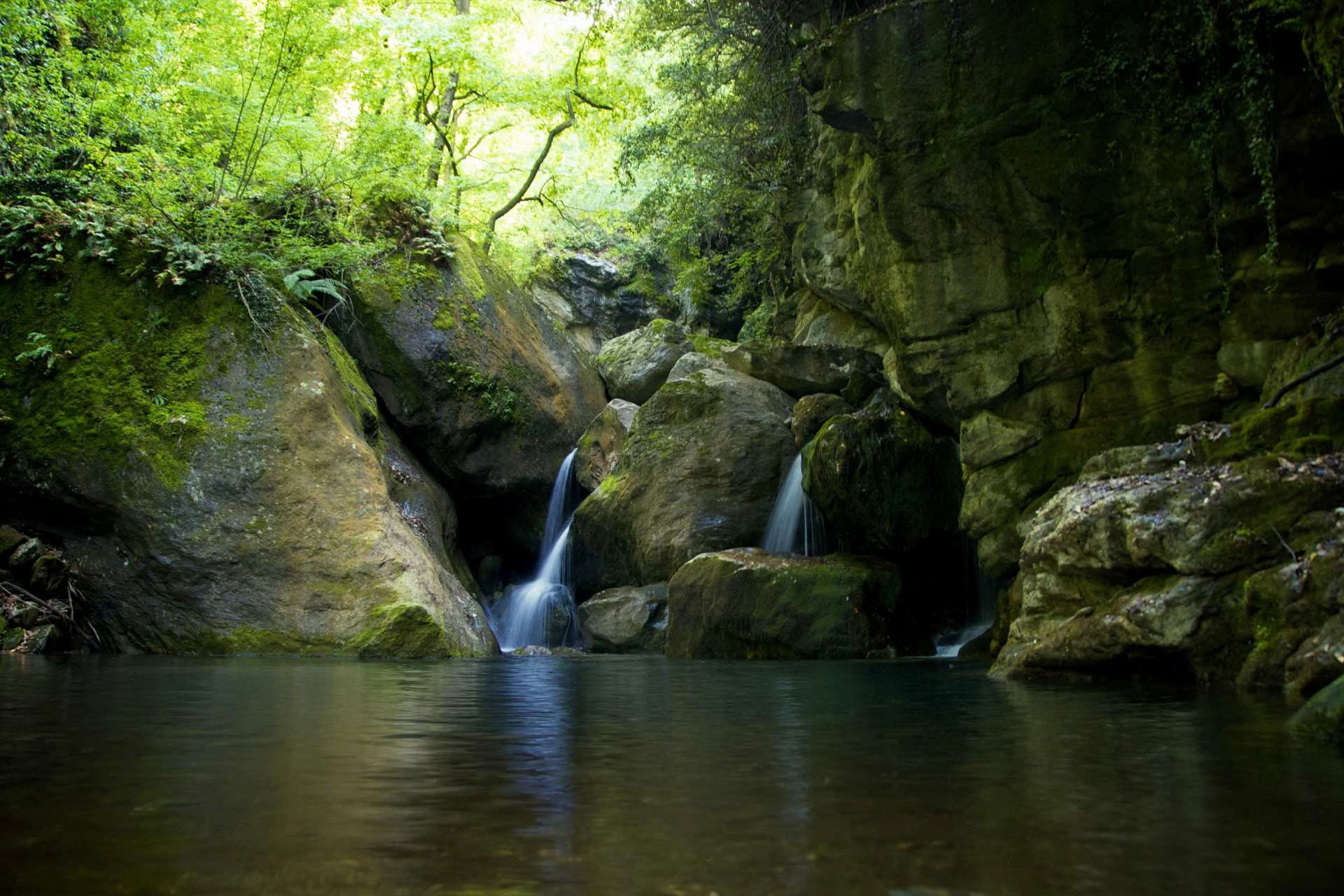 Mana Movement Retraite d’immersion dans la nature
