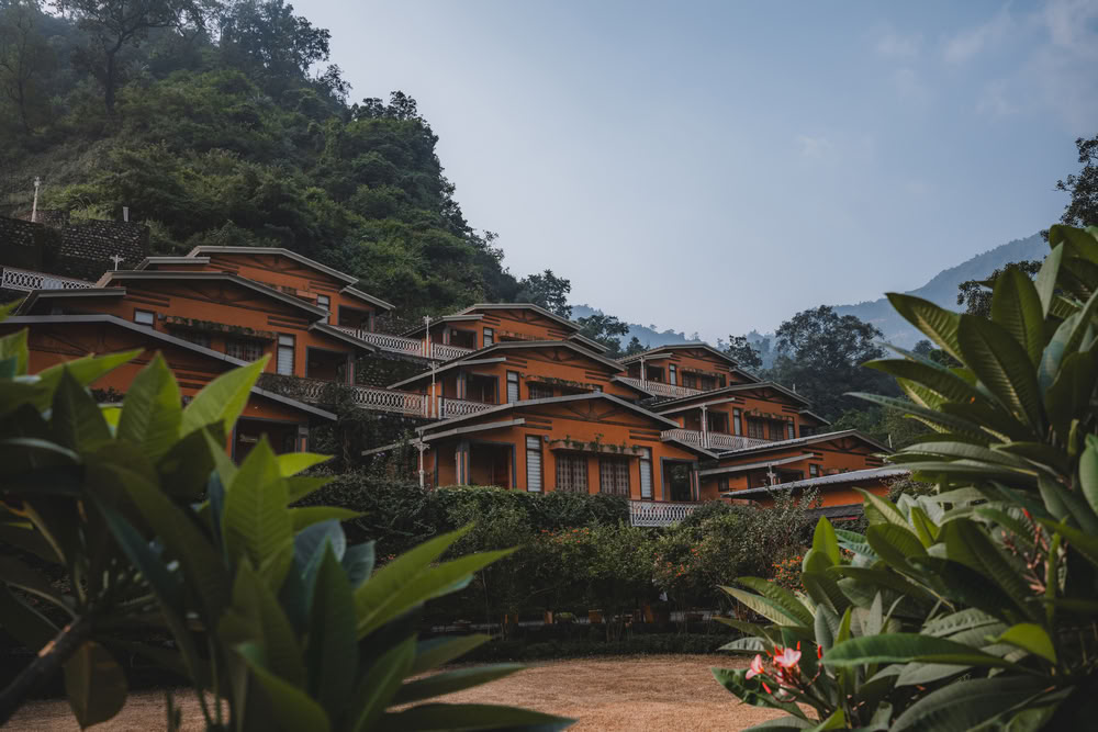 Formation de 200 heures YTT à Rishikesh – 23 mai - 14 juin 2026
