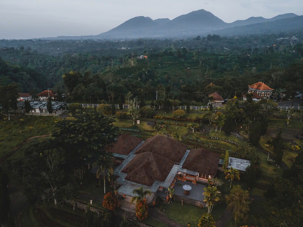 Formation de professeurs de yoga de 200 heures à Pelaga, Bali – 26 oct. – 14 nov. 2026
