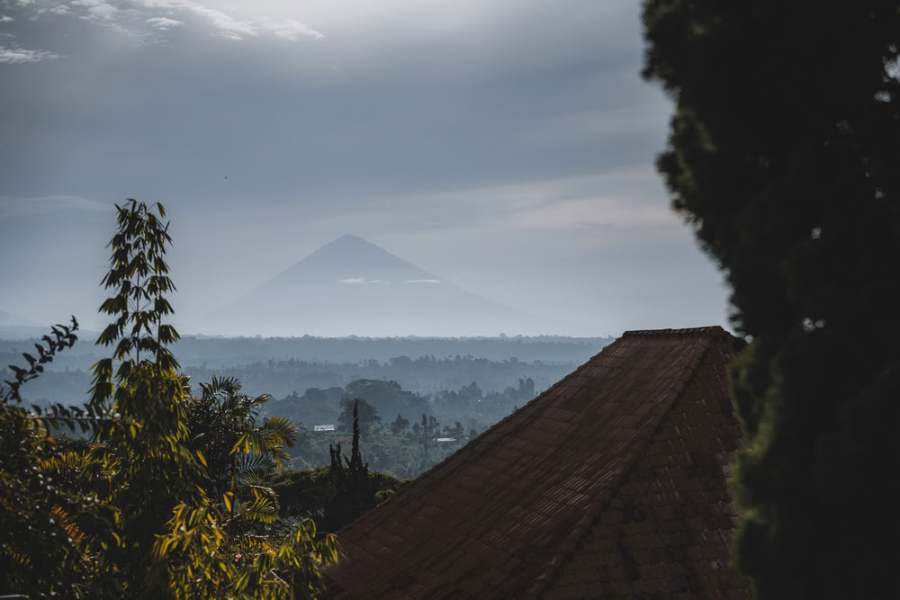 YTT de 200 heures à Bali, Pelaga – 24 juin – 11 juillet 2026