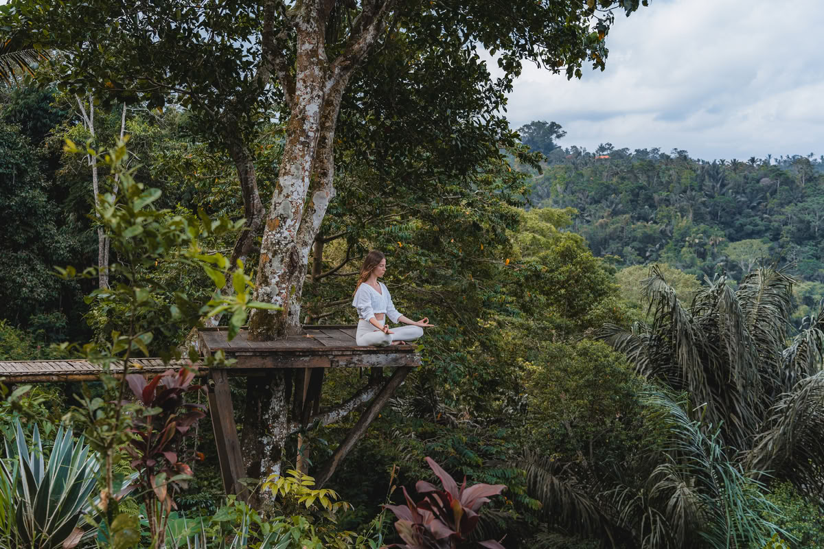 Formation de professeurs de yoga hybride de 200 heures / 300 heures – 26 nov. – 9 déc. 2026