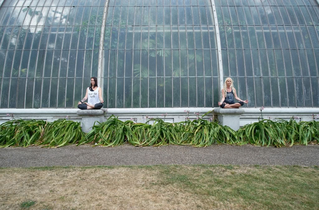 Access Consciousness Therapies au Medicine Festival