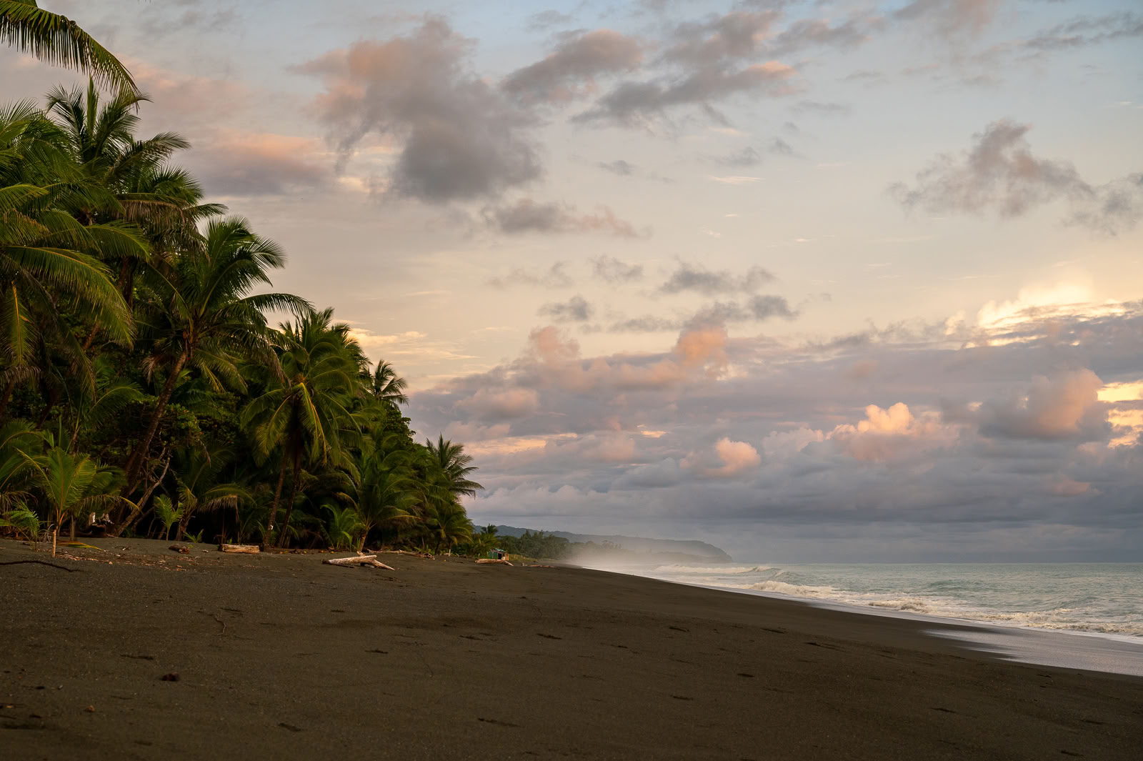 Cérémonie de Kambo à Cahuita - Nettoyer, Guérir et Renforcer