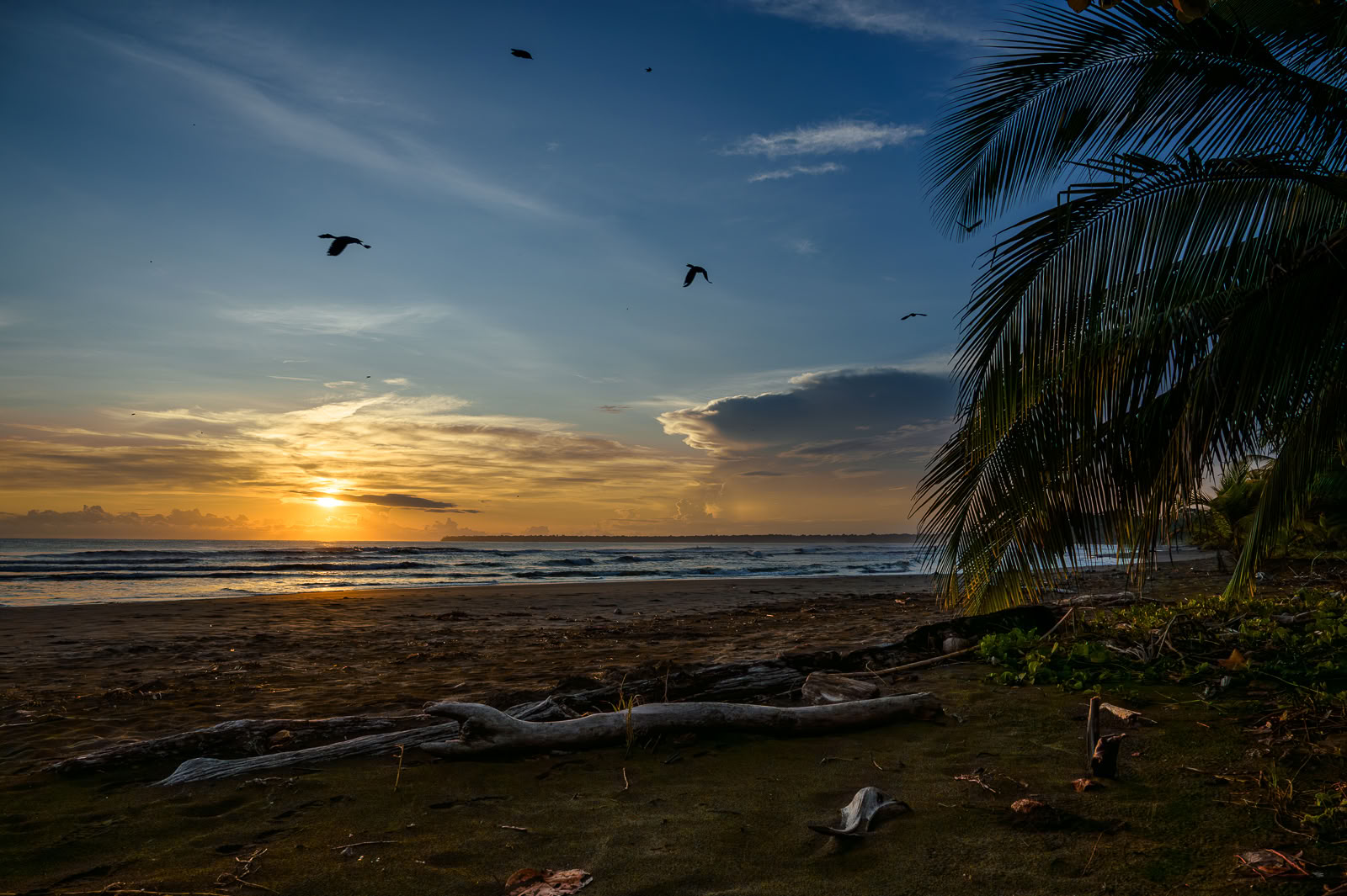 Home Sanctuary Retraite Ayahuasca – 18 - 25 juillet