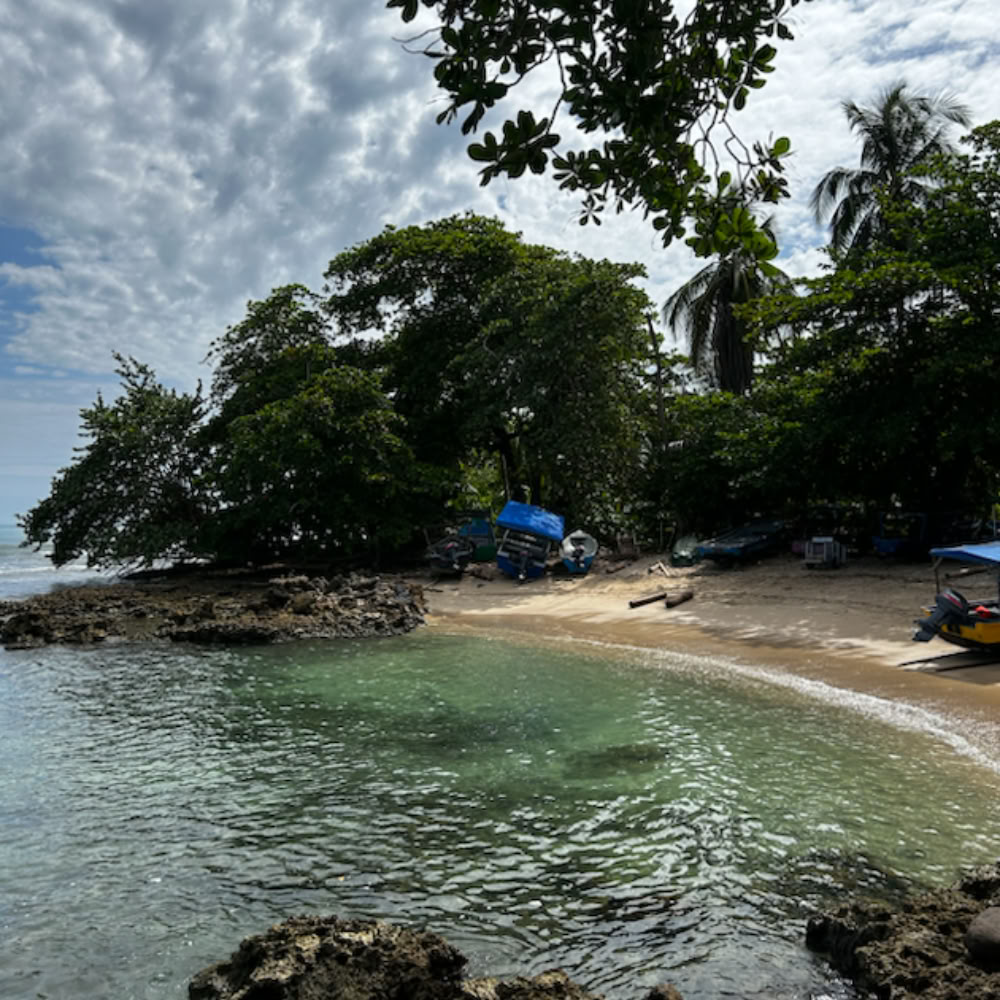 Home Sanctuary Retraite Ayahuasca – 22 - 29 août
