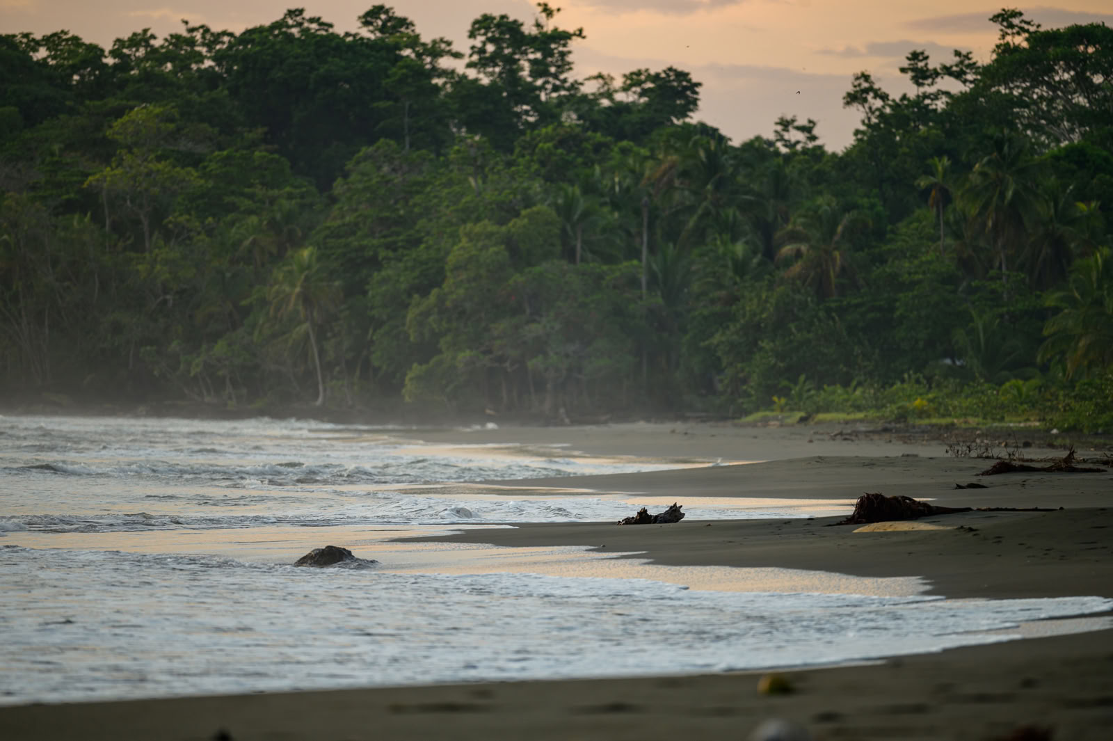 Home Sanctuary Ayahuasca retraite – 19 - 26 September