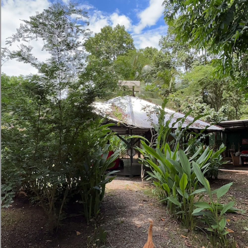 Home Sanctuary Retraite Ayahuasca – 21-28 novembre