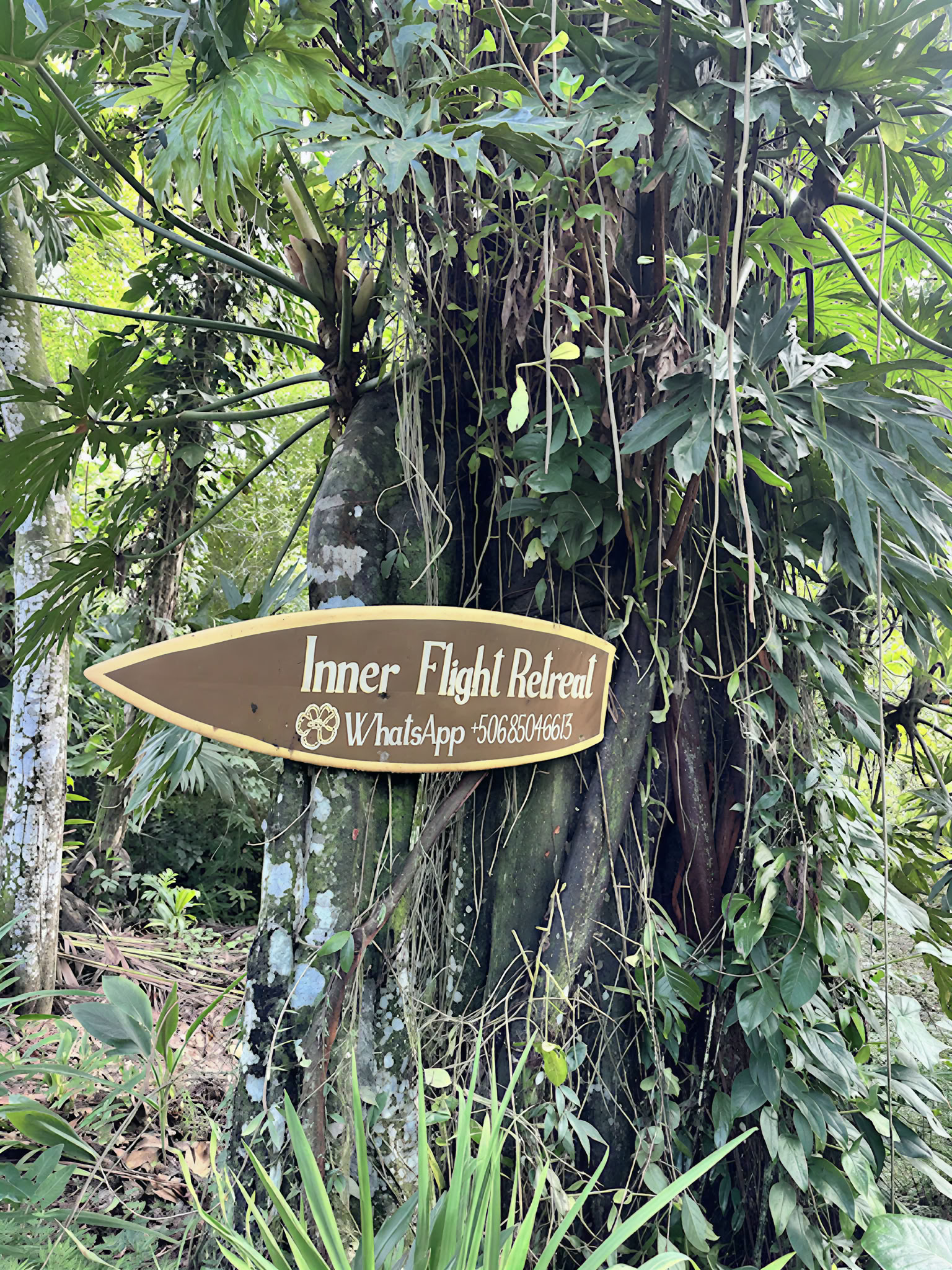 Home Sanctuary Retraite Ayahuasca – 21-28 novembre