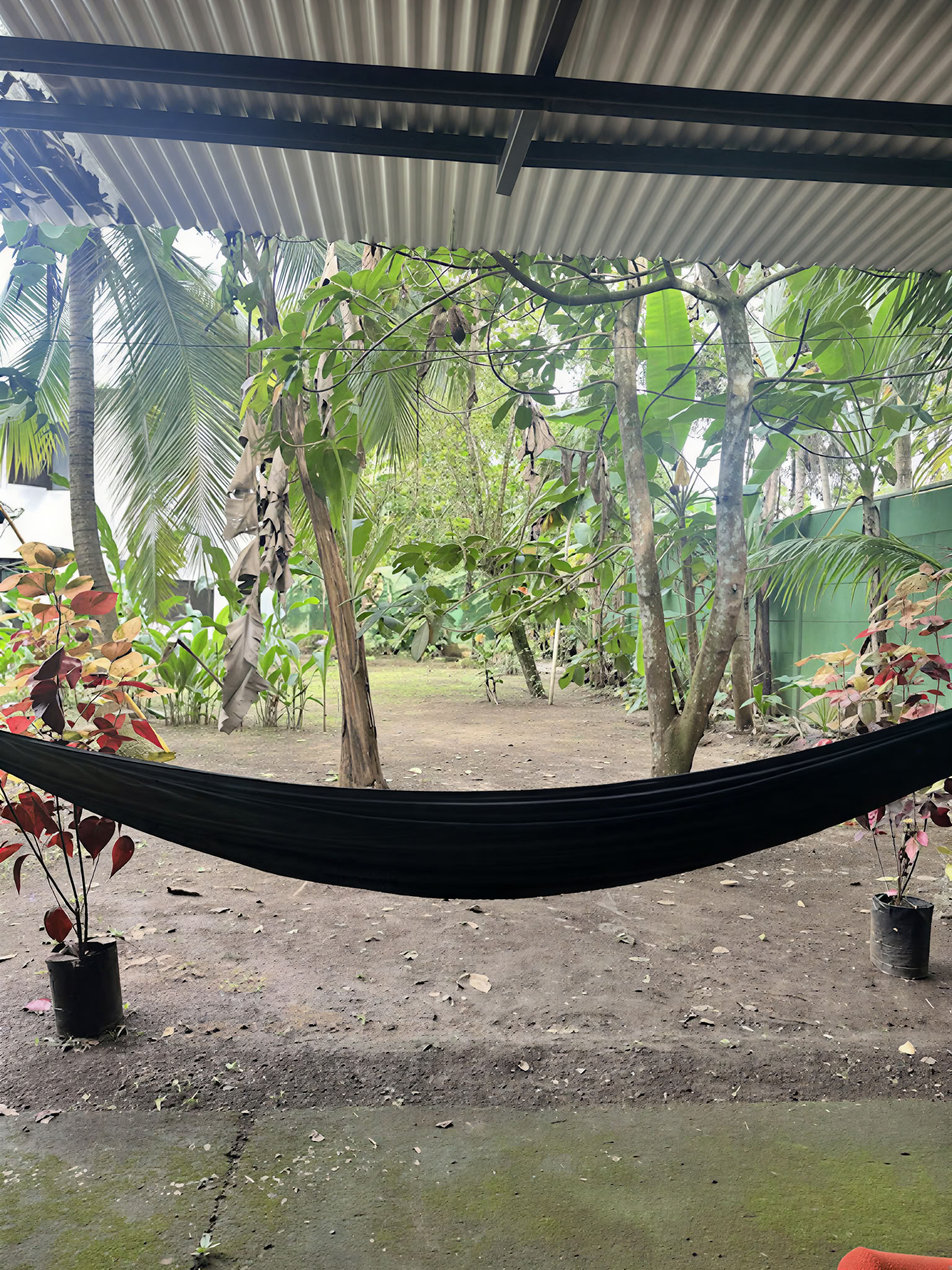 Home Sanctuary Retraite Ayahuasca – 5 - 12 December