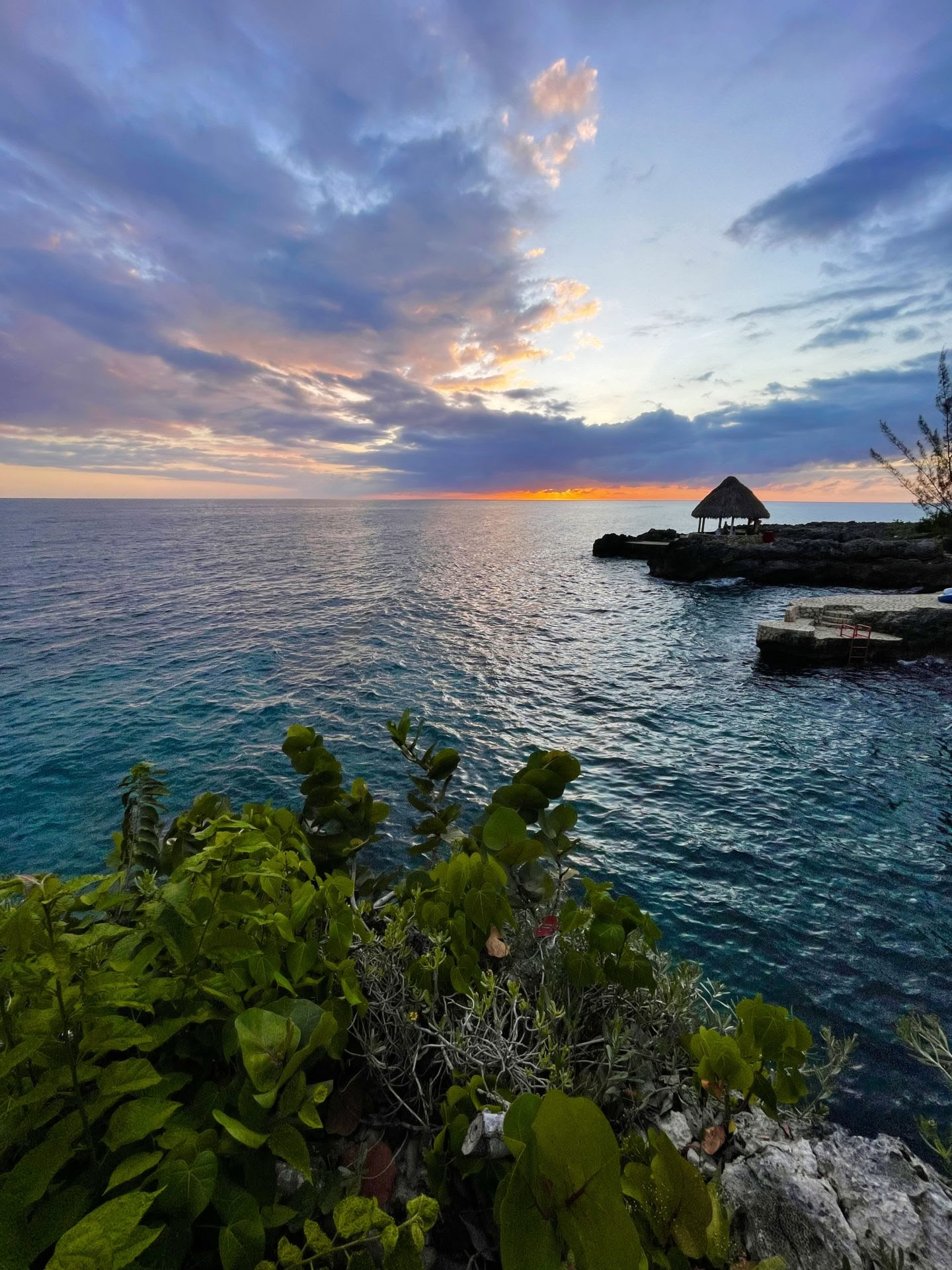 Programme de retraite de psilocybine de 6 jours