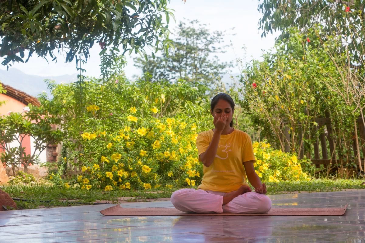 Cours de formation pour professeurs de yoga