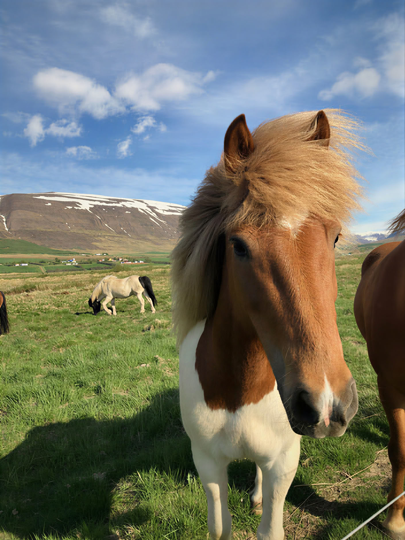 Yoga & Randonnée Retraite Soleil de Minuit en Islande – Dates 2025