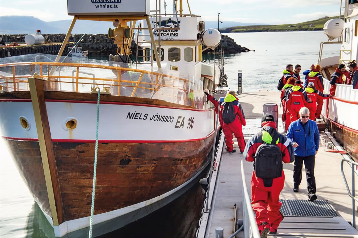 Whale Watching – 100% Whale Watching