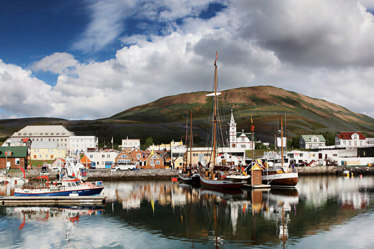 Akureyri Observation des baleines