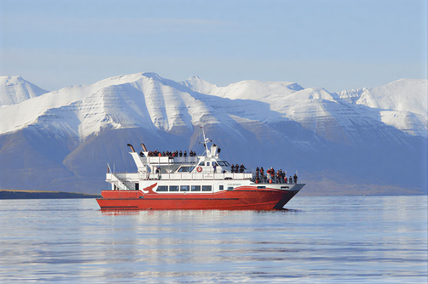 Akureyri Observation des baleines