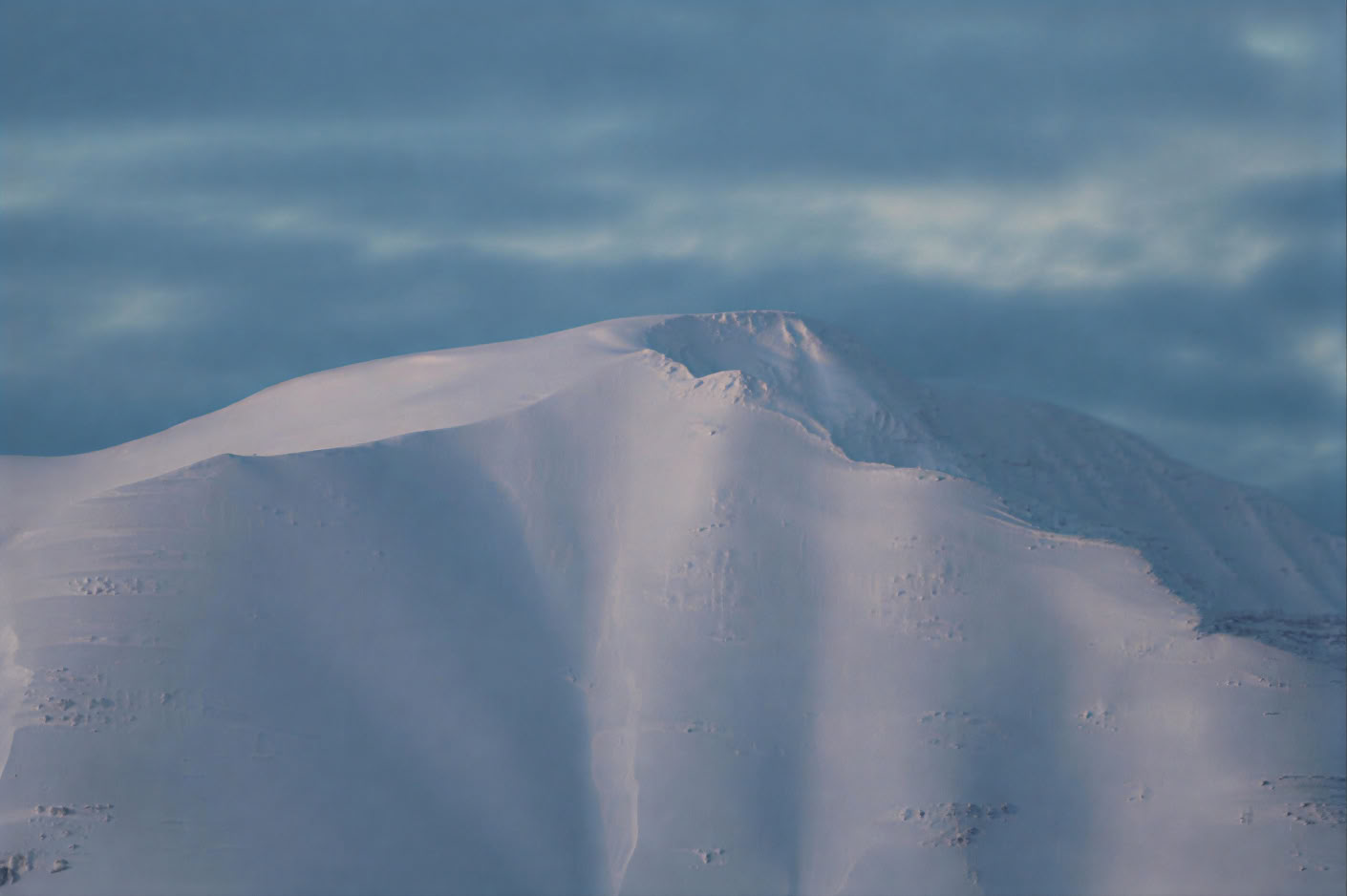 Akureyri Observation des baleines