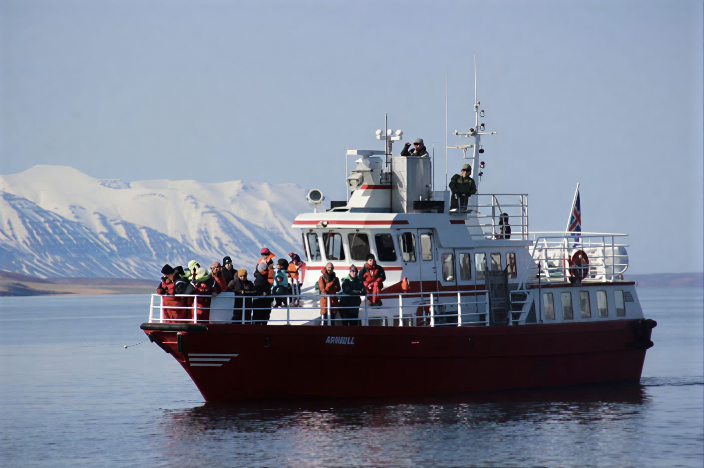 Akureyri Observation des baleines