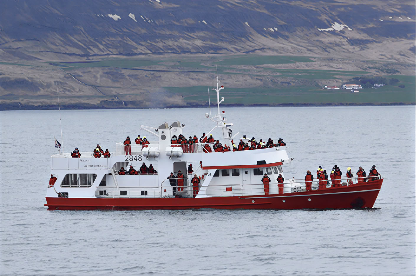 Akureyri Observation des baleines