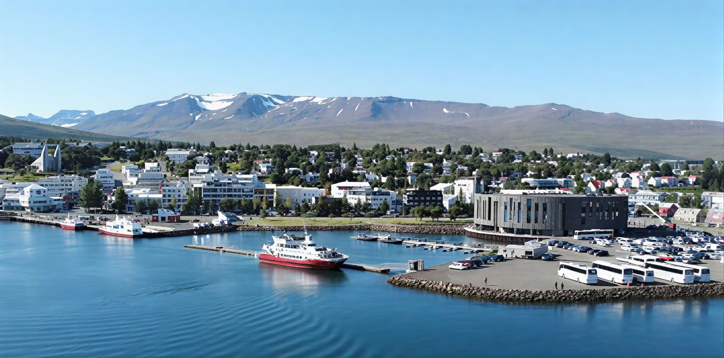 Akureyri Observation des baleines