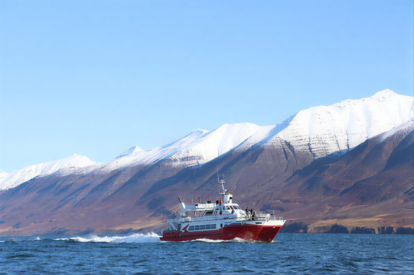Akureyri Observation des baleines