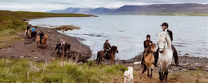 Croisière aux aurores boréales d'Akureyri