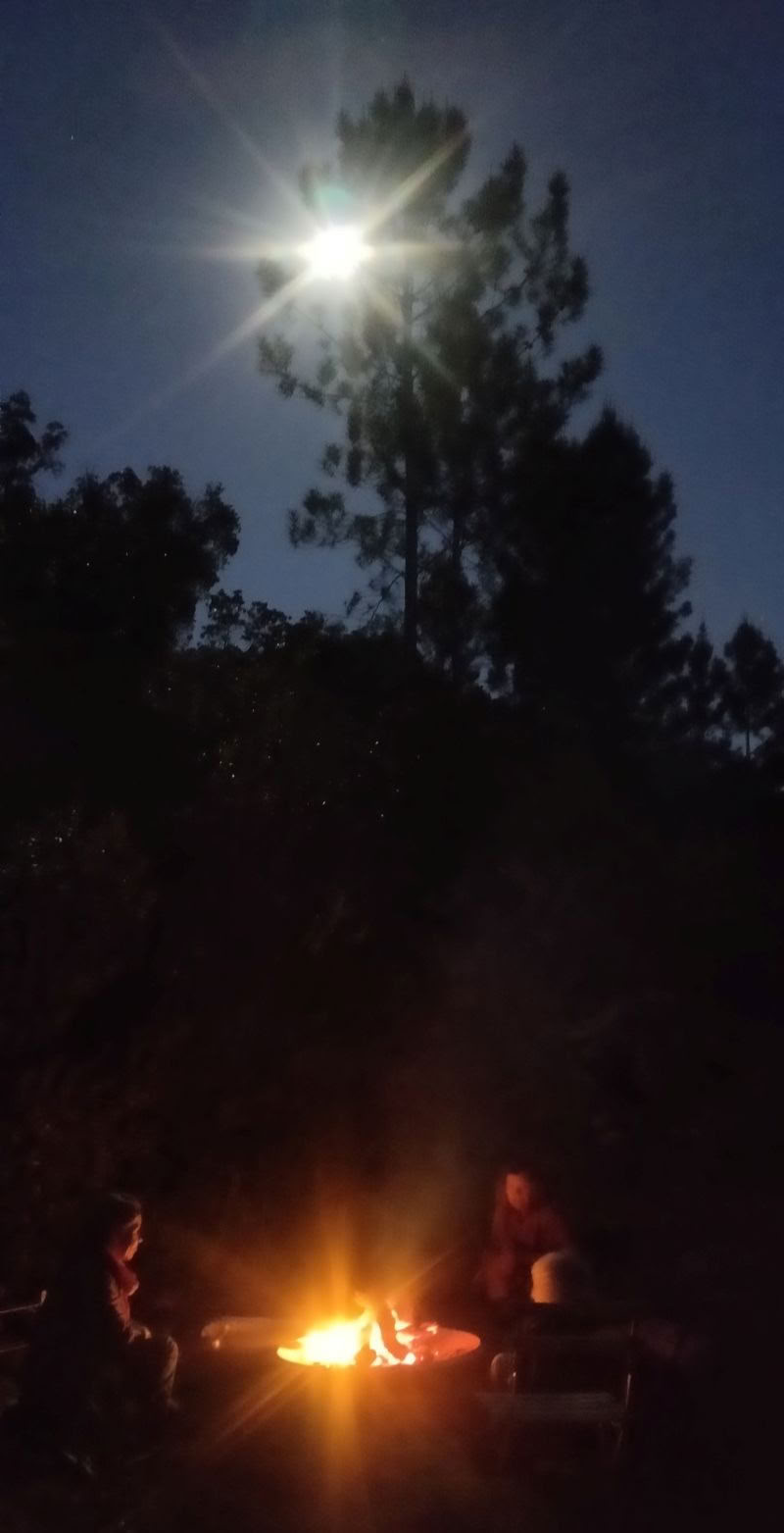 The Phoenix Rises - Une retraite Vision Quest