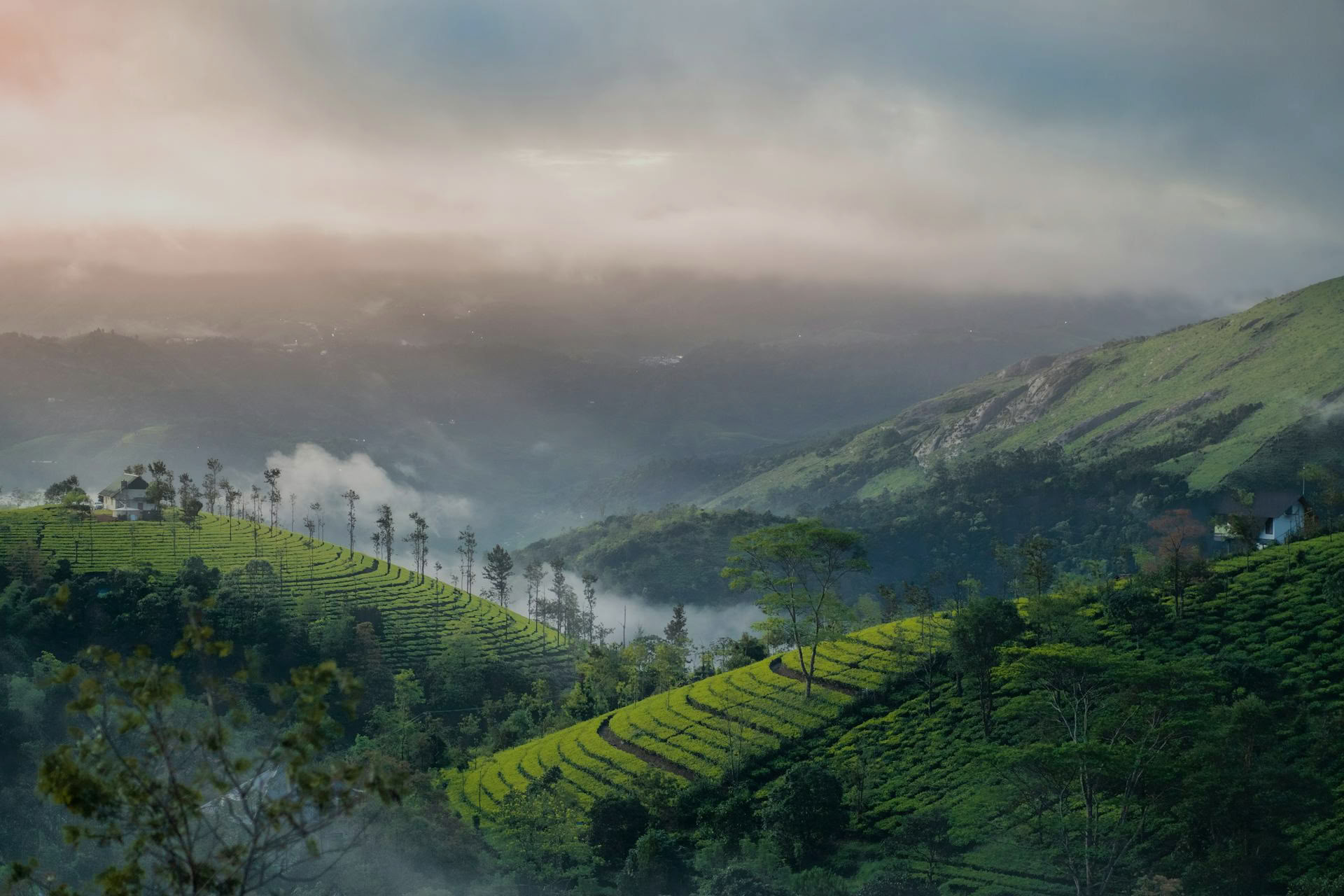 Kerala Yoga Retraites avec Ira Trivedi