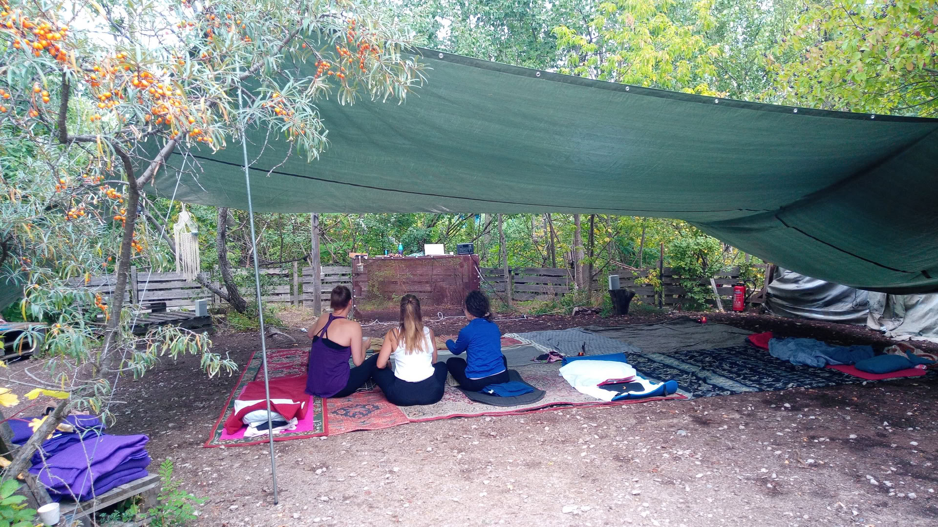 Wild Breathwork Berlin – Voyage Breathwork sous le ciel ouvert