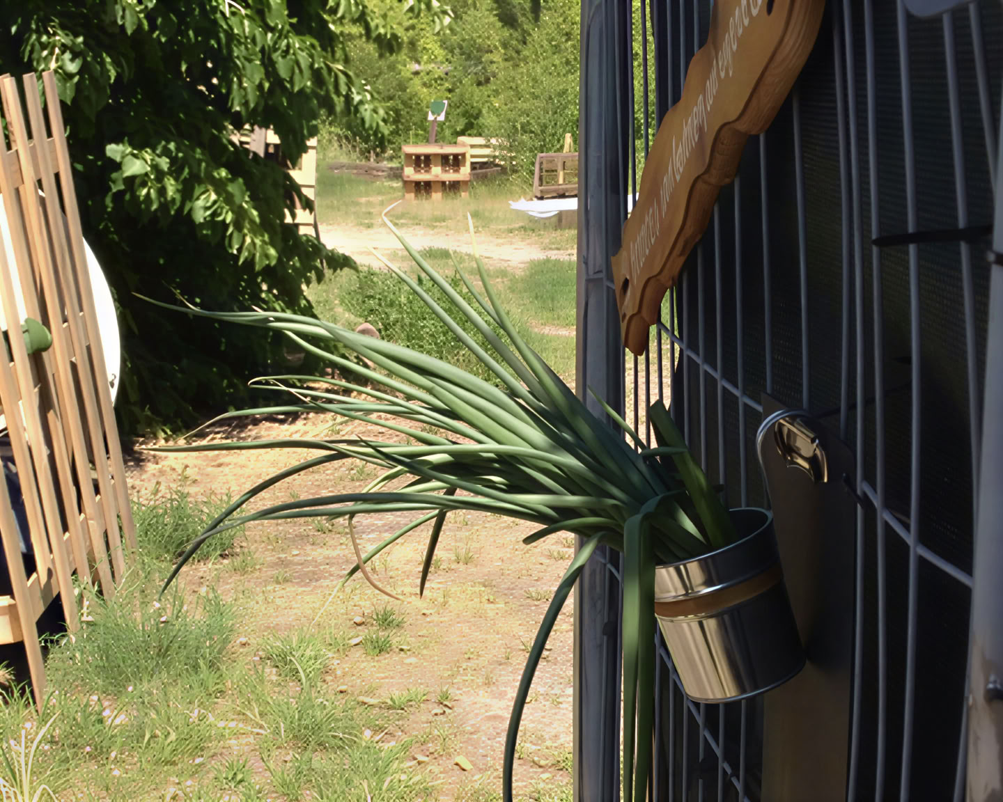Wild Breathwork Berlin – Voyage Breathwork sous le ciel ouvert