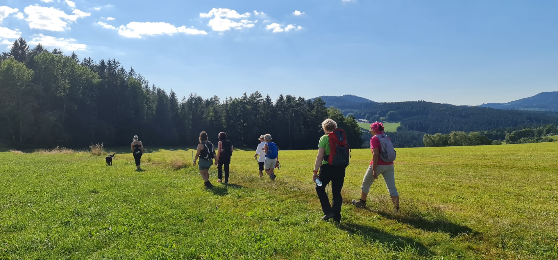 Yoga-Détox-Retraite avec Randonnée au Kloster Waldbreitbach