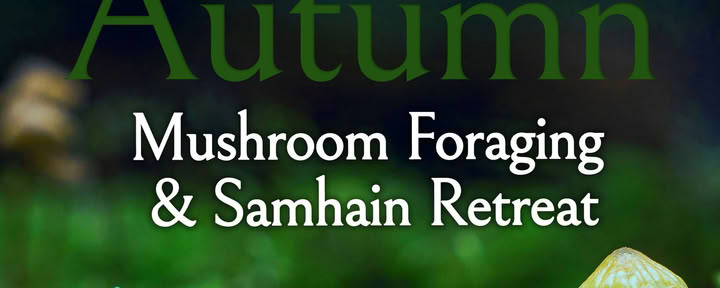 Retraite de cueillette de Samhain d’automne