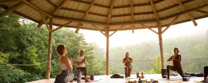 Formation d'enseignants de yoga Yin & Somatics | Smoky Mountains — Seven Springs
