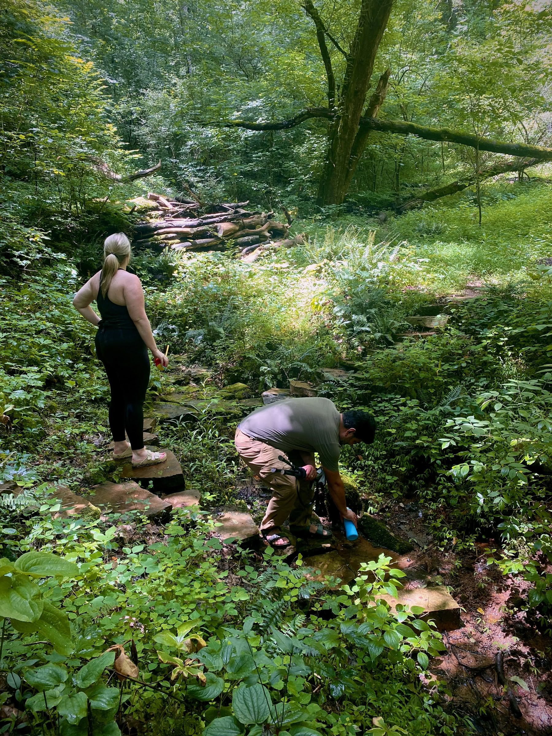 Le rassemblement des couples des Smoky Mountains