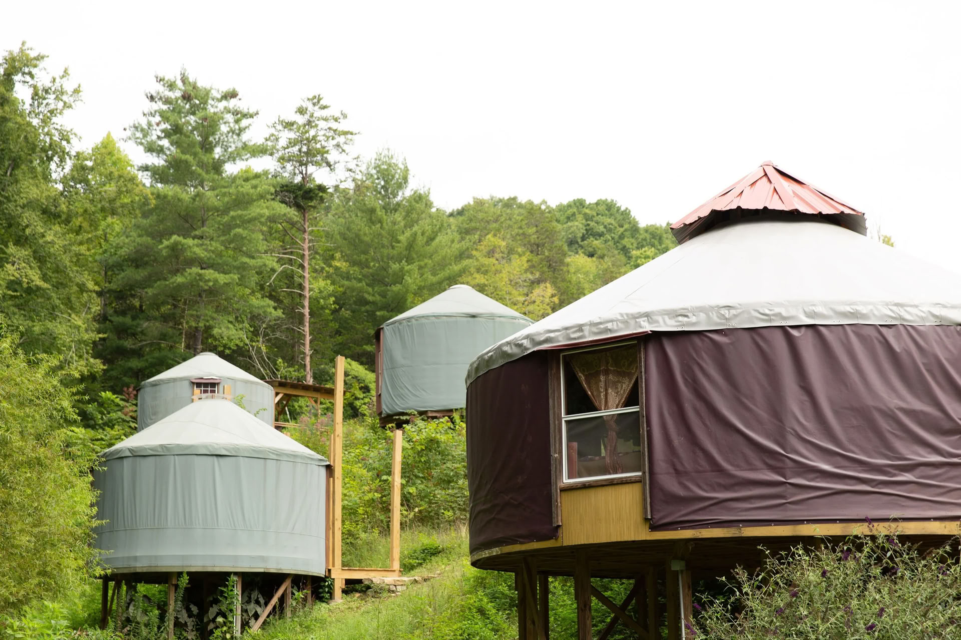 Le rassemblement des couples des Smoky Mountains