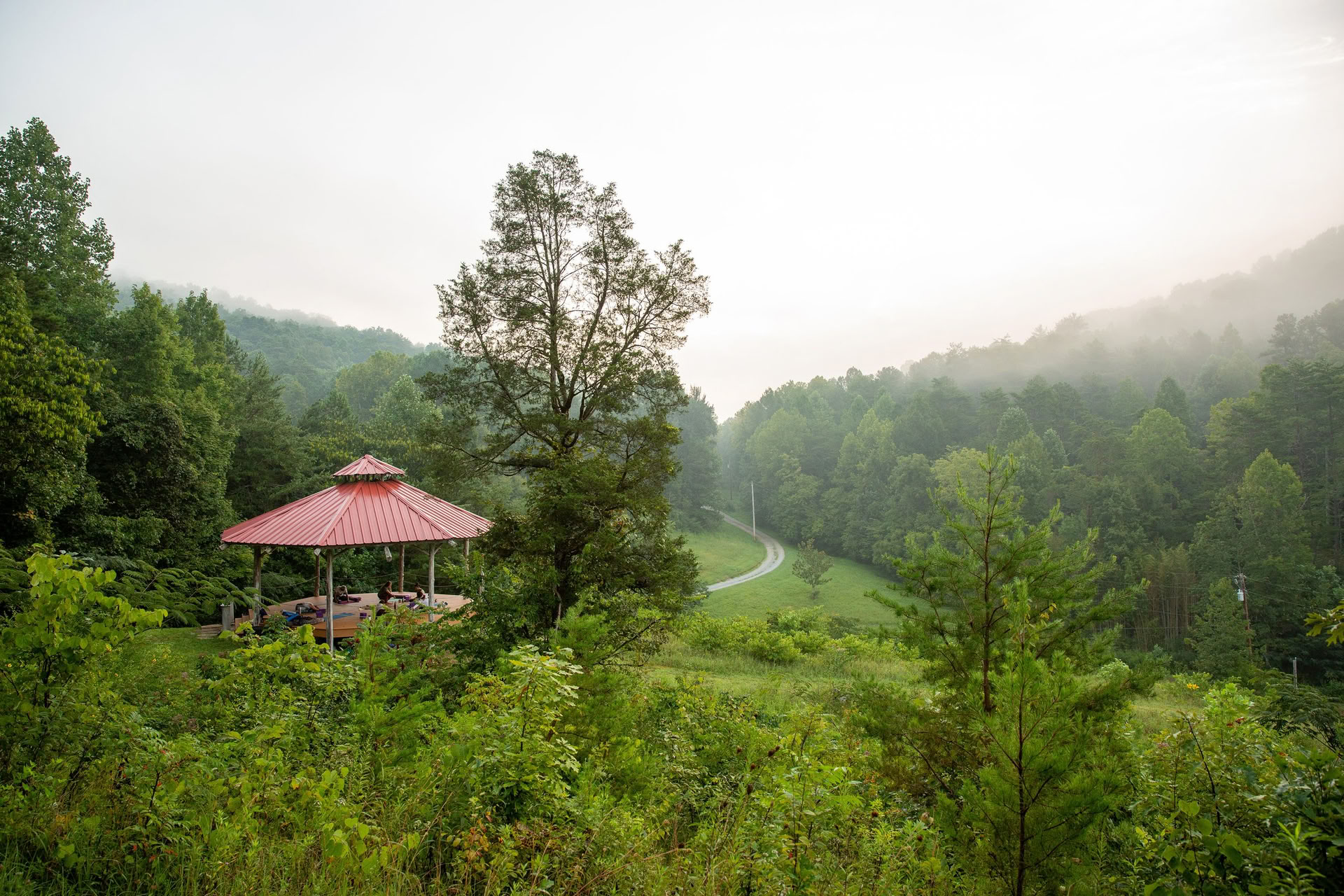 Walking the Path: Labyrinthe et immersion dans la nature retraite