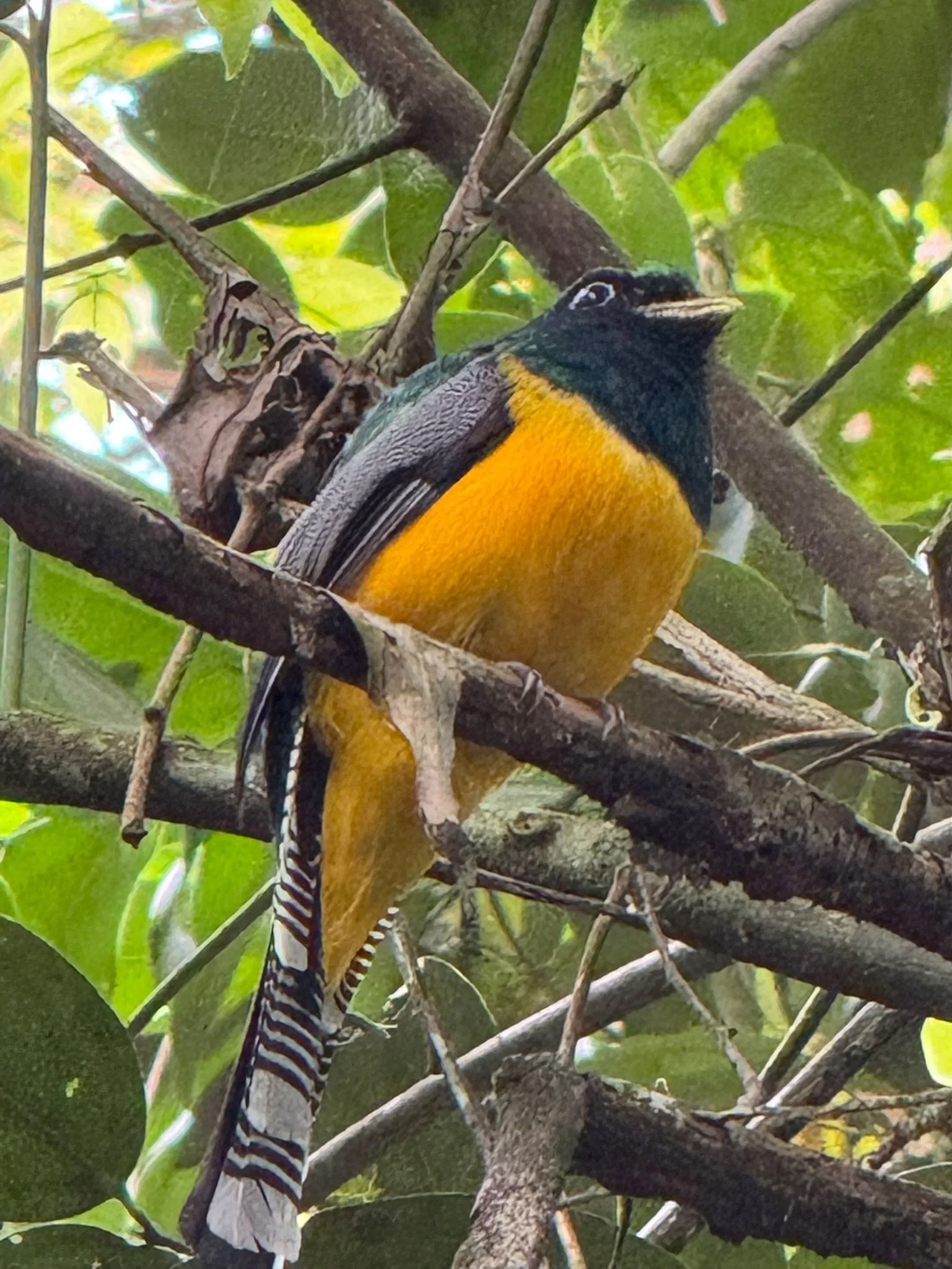 Découvrez le Costa Rica avec Lucy Cooke