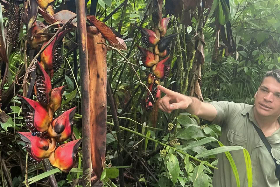 Retraite de yoga et de méditation de 5 jours / 4 nuits à Tamarindo, Costa Rica