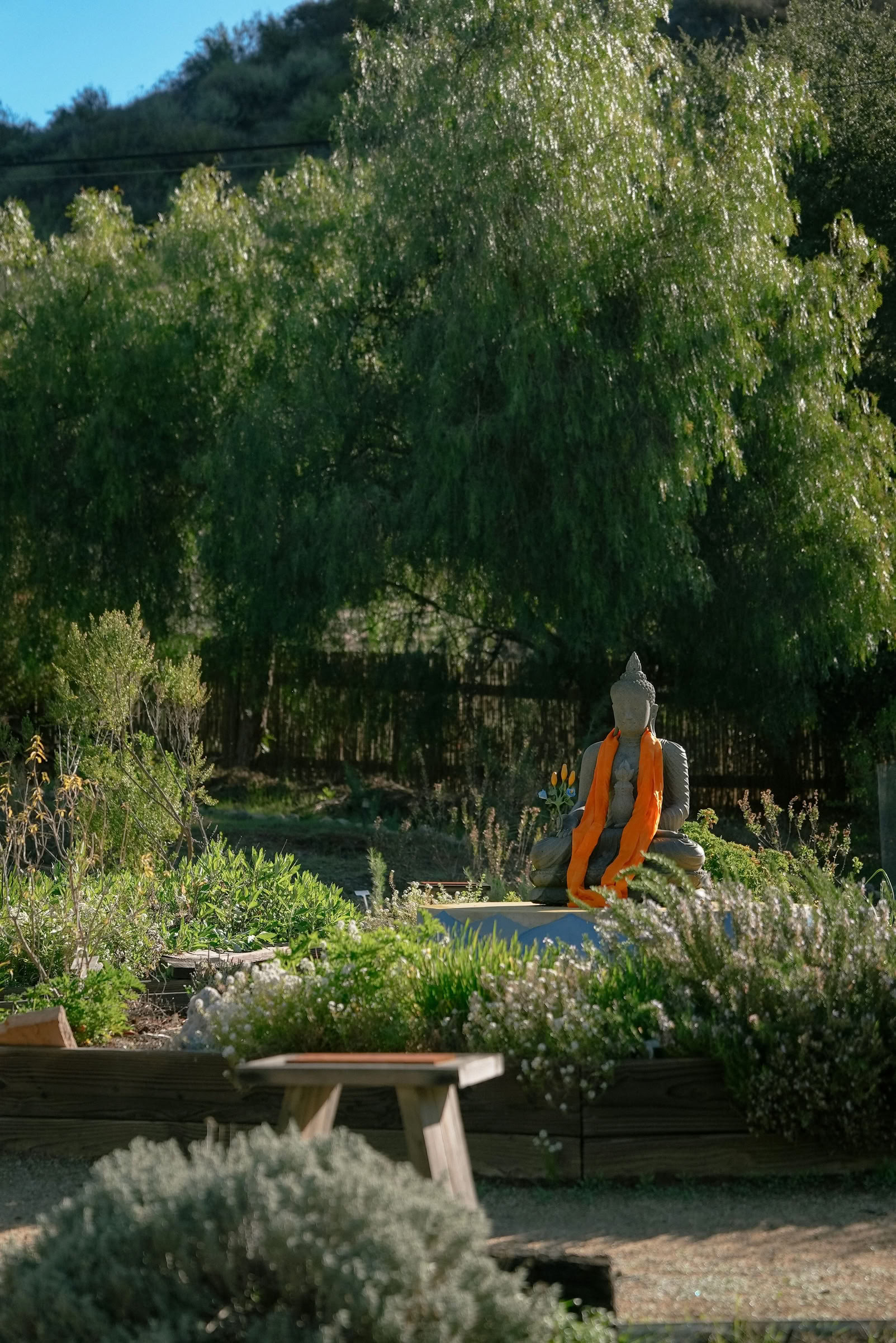 Sowa Rigpa Foundations — Pure Land Farms